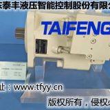 生产加工泰丰液压TFA11V系列柱塞泵